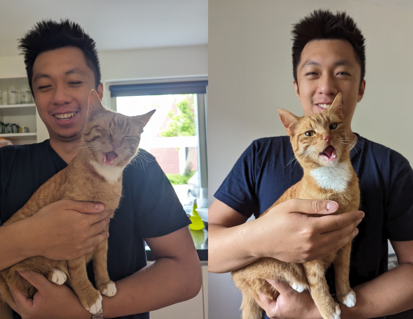 With my cat